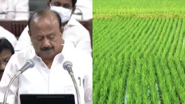 3204 கிராமப் பஞ்சாயத்துகள் 3204 கிராமப் பஞ்சாயத்துகள்