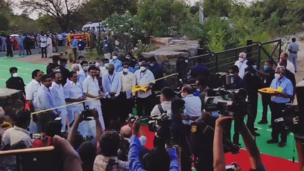 சிறப்பான குறுங்காடு சிறப்பான குறுங்காடு