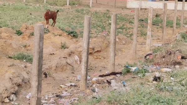  சமீப நாட்களாக 