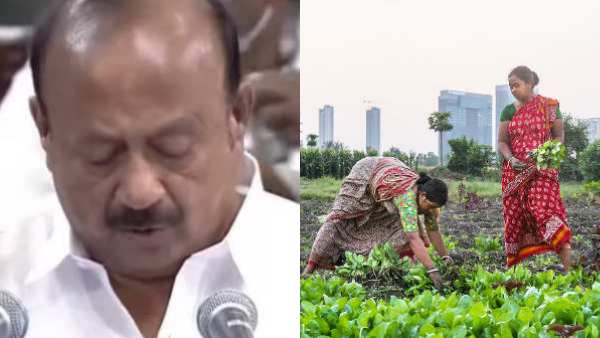 RS 400 Crore Allocates for Organic Farming RS 400 Crore Allocates for Organic Farming