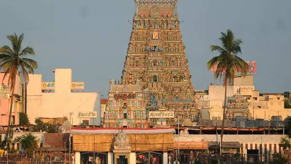 தேடுதல் வேட்டை தேடுதல் வேட்டை