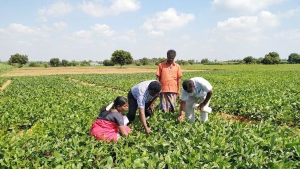 குறைந்தபட்ச ஆதாரம்