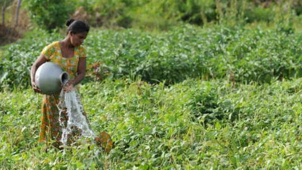  இயற்கை விவசாயம்