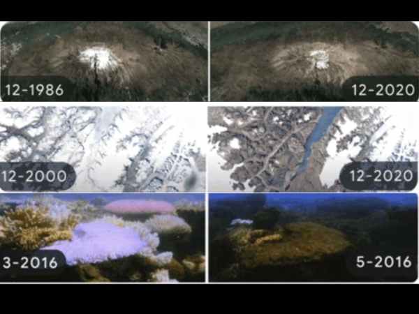 கூகுள் வெளியிட்ட டைம் லேப்ஸ் டூடுள் 