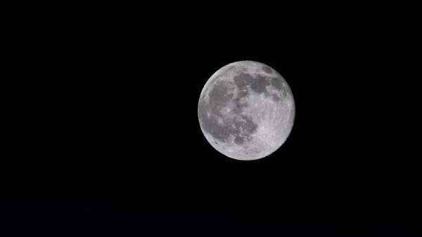 அமெரிக்கா