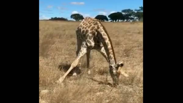 வயிறு நிரம்பும் 