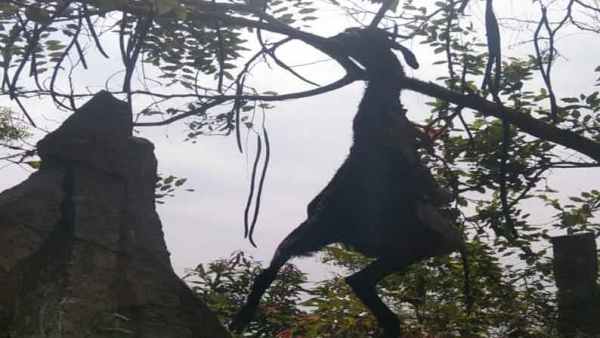 வாழ்வாதாரம்