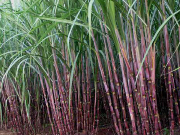 கண்டம் ஏற்படும்