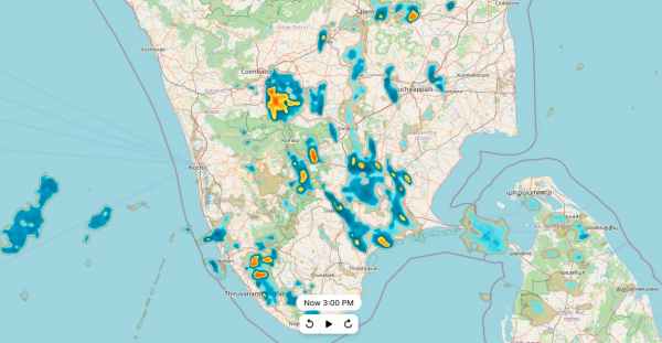 கோடை மழையை ரசிக்கட்டும் 