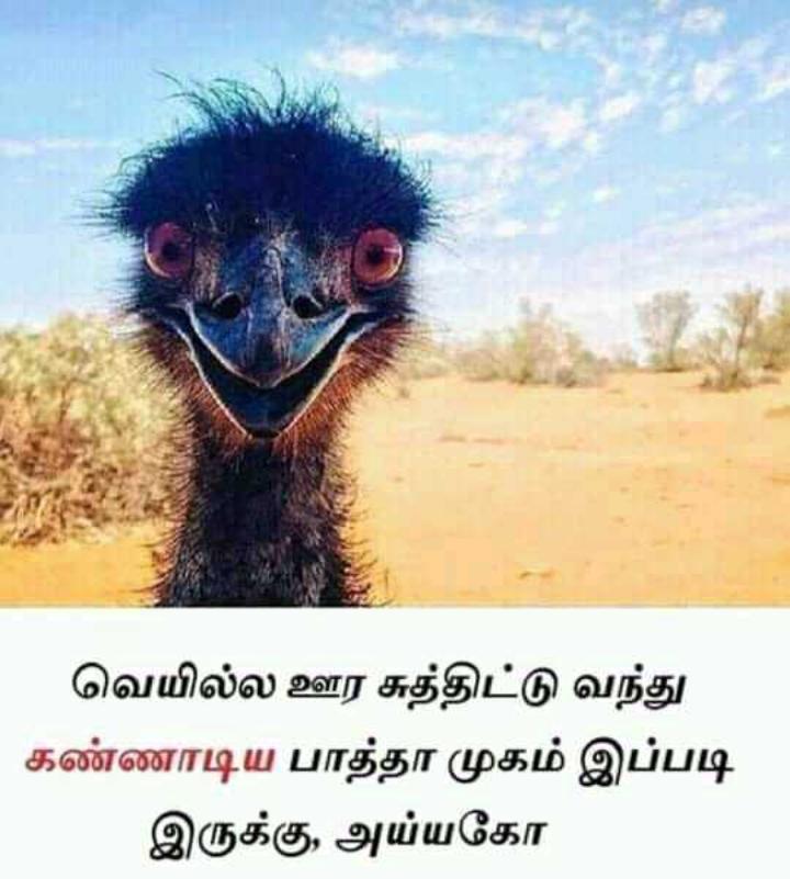 Funny memes collection on summer heat