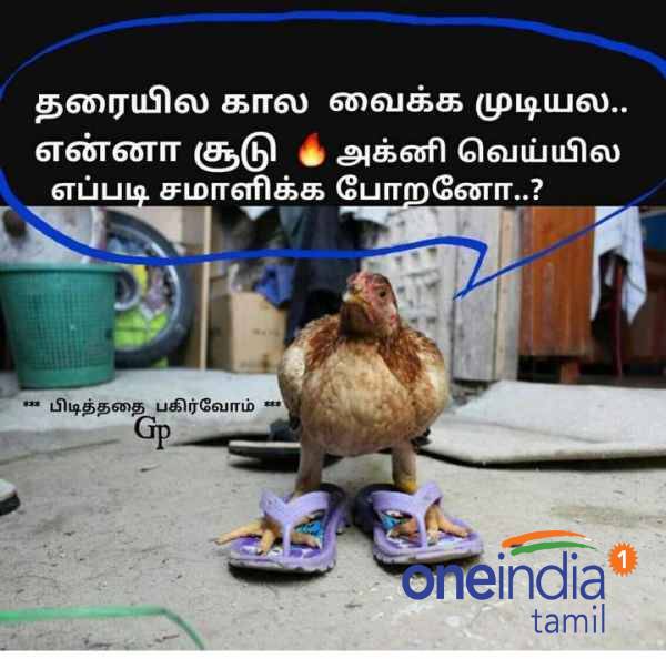 Funny memes collection on summer heat