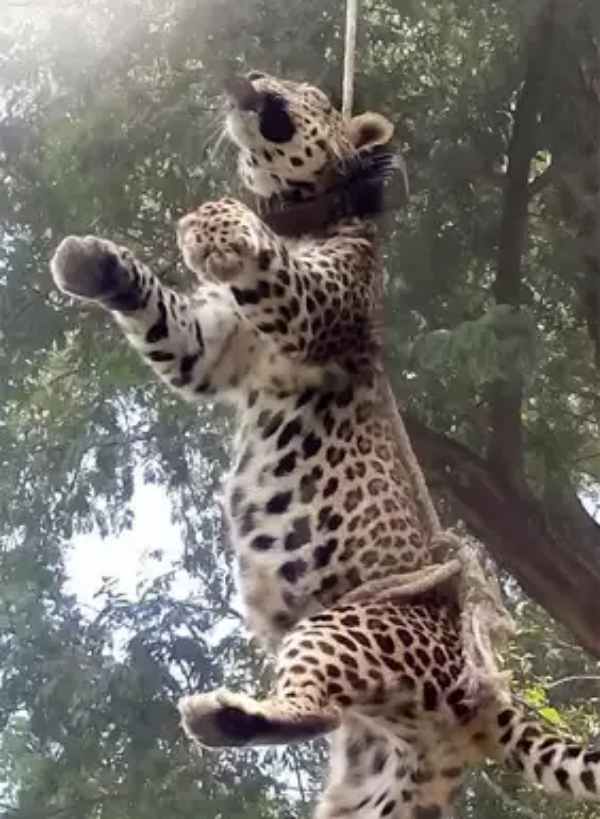 பட்டு விவசாயி