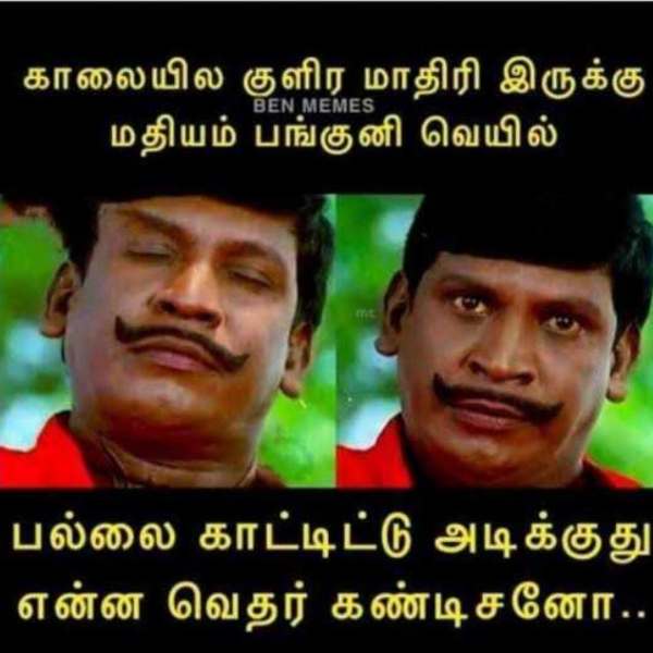 Funny jolly memes collection on summer heat