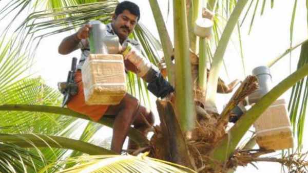 பதநீர் பதநீர்