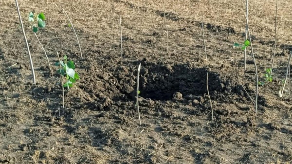 வளர்ச்சி பணிகள்