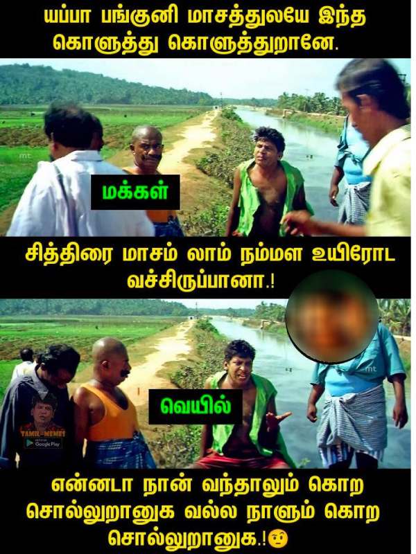 Funny jolly memes collection on summer heat