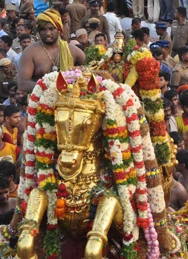 பூப்பல்லக்கில் அழகர் 