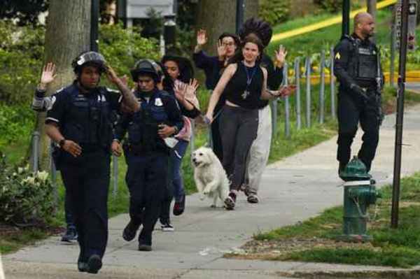  வைரல் வீடியோ