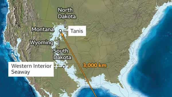 ஏன் முக்கியம்? 