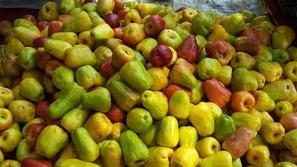 முந்திரி பழங்கள் முந்திரி பழங்கள்