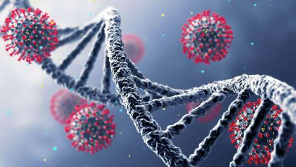 கொரோனா பாதிப்பு 