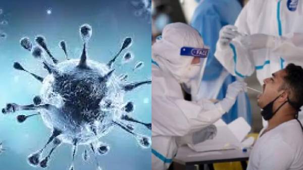 நிபுணர்கள் அச்சம் நிபுணர்கள் அச்சம்