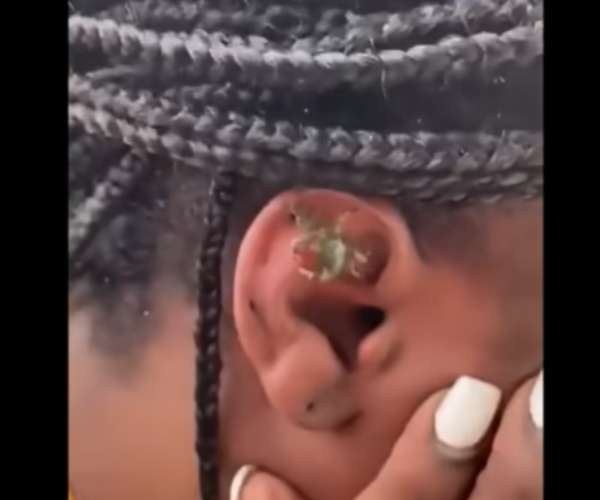 பரிதாப கமெண்ட்கள் பரிதாப கமெண்ட்கள்