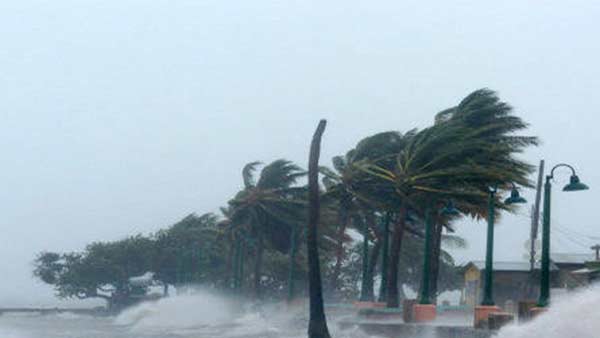 19 புயல்கள் கனமழை வெள்ளம்
