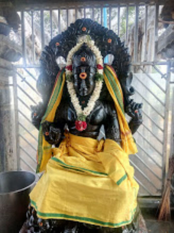 மஞ்சள் நிறம் மஞ்சள் நிறம்