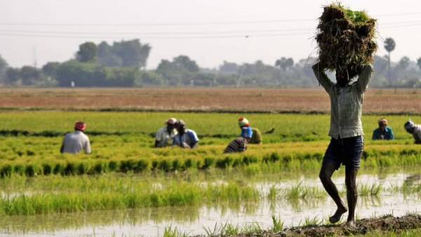 எந்தெந்த வங்கிகள் எந்தெந்த வங்கிகள்