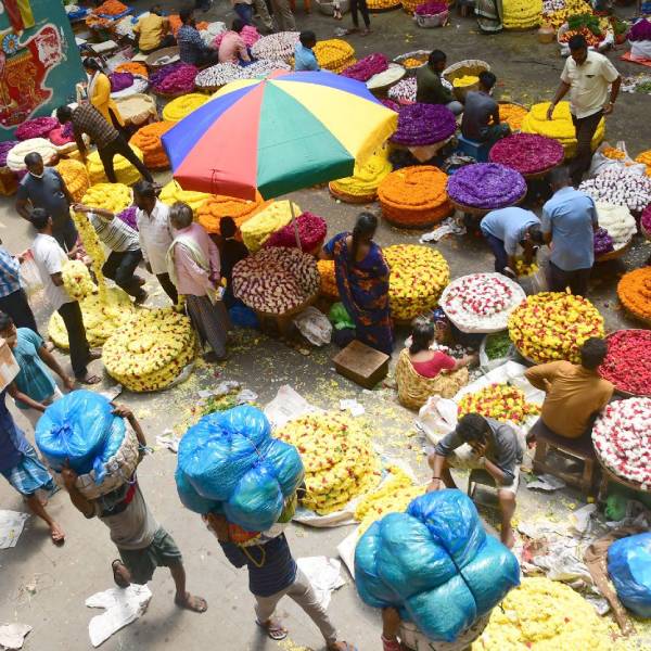 மாம்பழ வியாபாரத்துக்கு எதிர்ப்பு 