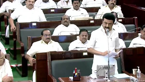 முதல்வர் ஸ்டாலின் முதல்வர் ஸ்டாலின்