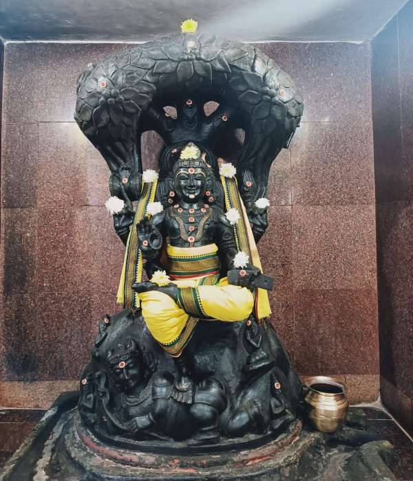 வருமானம் அதிகரிக்கும் வருமானம் அதிகரிக்கும்