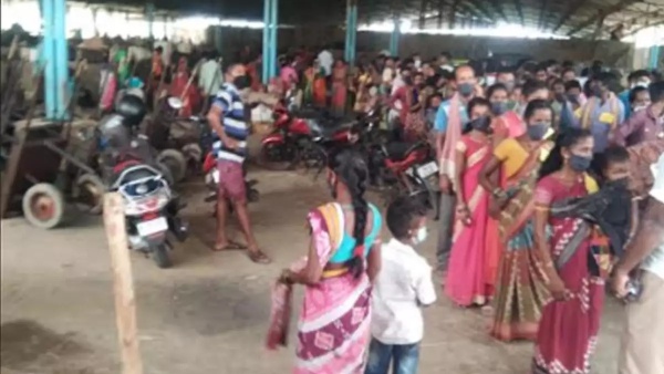 மலர்ந்தது விடுதலை