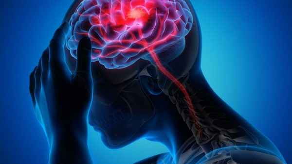 மூளையை கட்டுப்படுத்தும் ஜாம்பி 