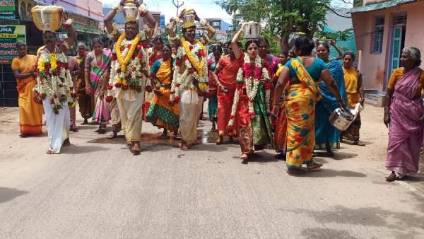 விதை நெல்மணிகள் விதை நெல்மணிகள்