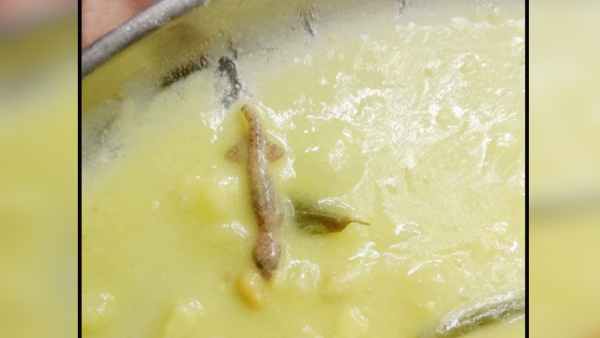 உணவில் கிடந்த பல்லி 