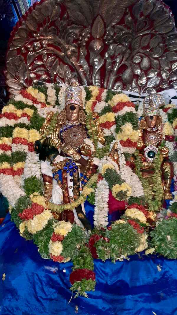 மாசி வீதிகளில் கோலாகலம் 