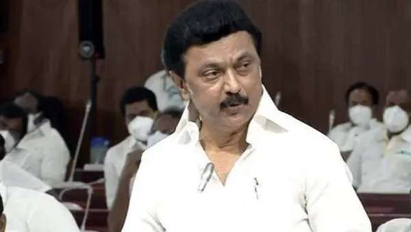 முதல்வர் ஸ்டாலின் 