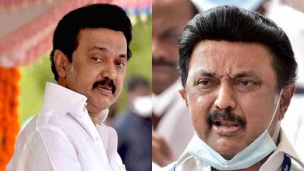 முதல்வர் ஸ்டாலின் 