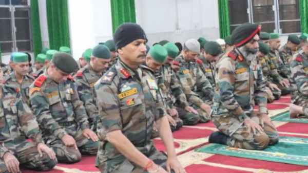 பசுக்கள் பசுக்கள்