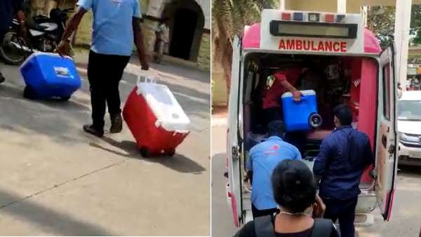 5 பேருக்கு மறுவாழ்வு 