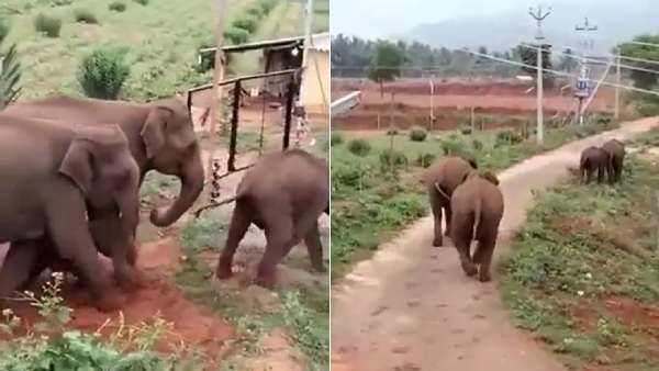 கிராம மக்கள் உருக்கம் 