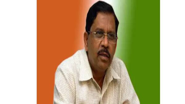 நாய் அனுமதிக்கப்படுகிறது