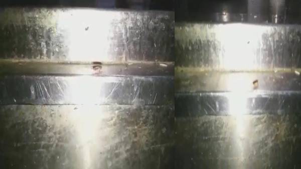 பிரியாணி 