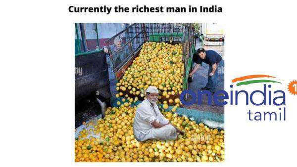 Funny memes collection on lemon price