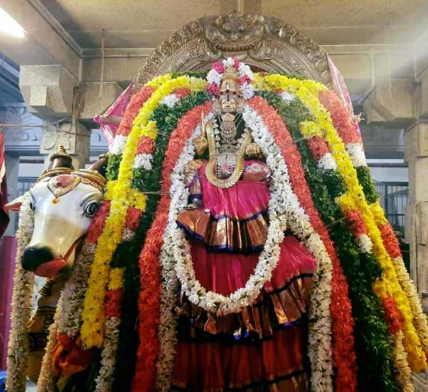 சித்திரைத் திருவிழா 