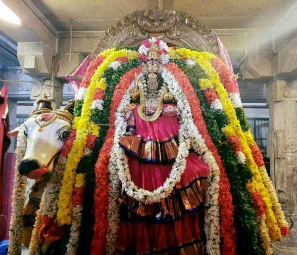 Samayapuram Mariamman Temple Chithirai Festival Flagging Ceremony - 19th April Therottam 