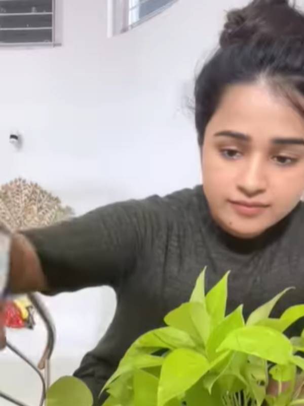 டிஸ்யூ பேப்பரில் ரோஜா