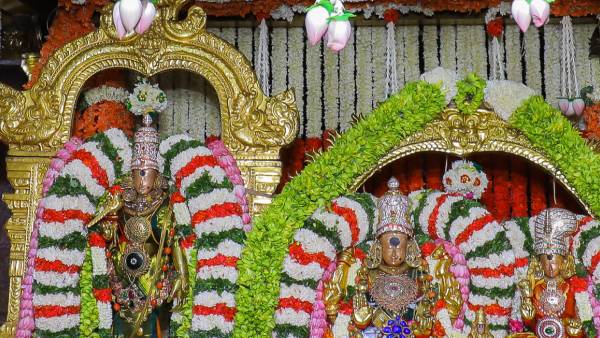 கொடியேற்றம் கோலாகலம் கொடியேற்றம் கோலாகலம்